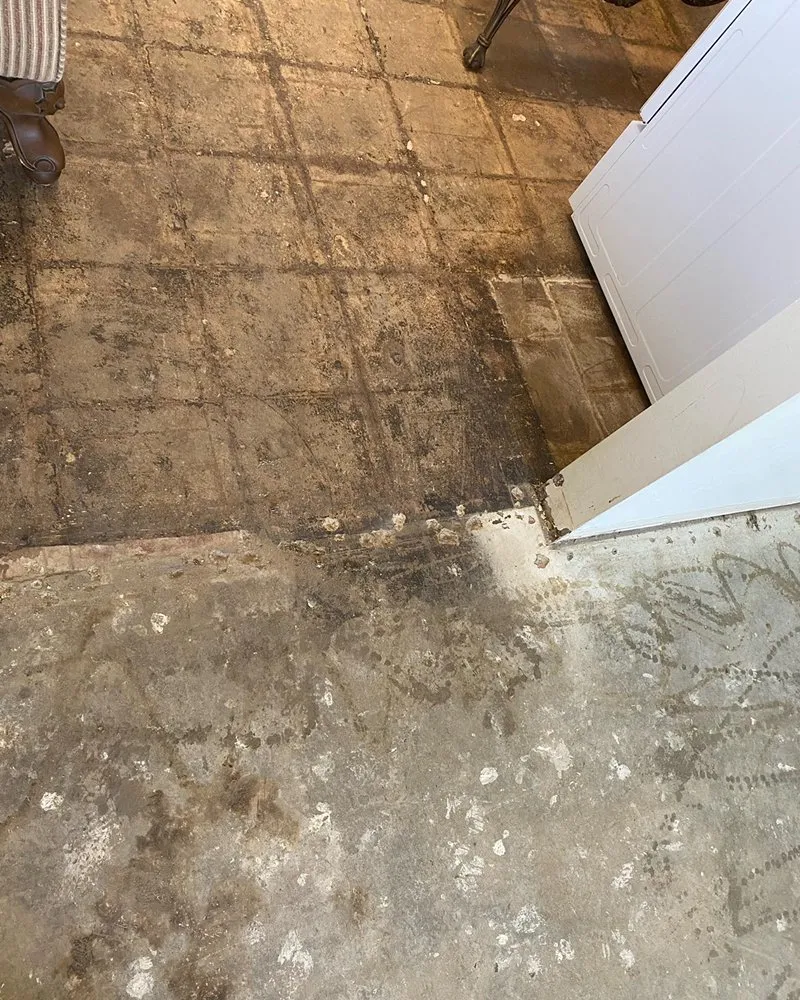 Trusted yard maintenance in Bakersfield, CA by Get Ur Done