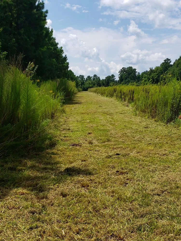 Affordable garden landscaping in Pinetown, NC - Get Ur Dun Lawn And Tree Service
