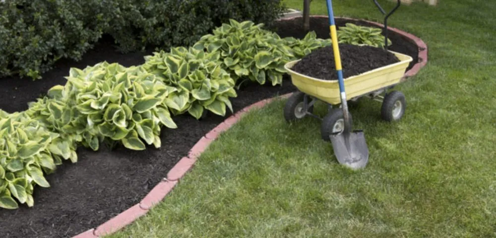 Top-rated outdoor landscaping in East Orange, NJ by Get your Grass Cut For a Buck