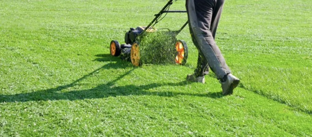 Reliable residential landscaping in East Orange, NJ by Get your Grass Cut For a Buck