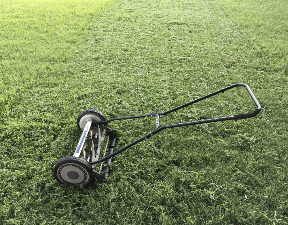 Expert landscaping services for year-round maintenance across East Orange, NJ - Get your Grass Cut For a Buck