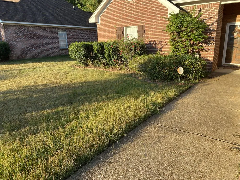 Expert yard maintenance for residential properties in Brandon, MS by Getcha Right Lawn Care