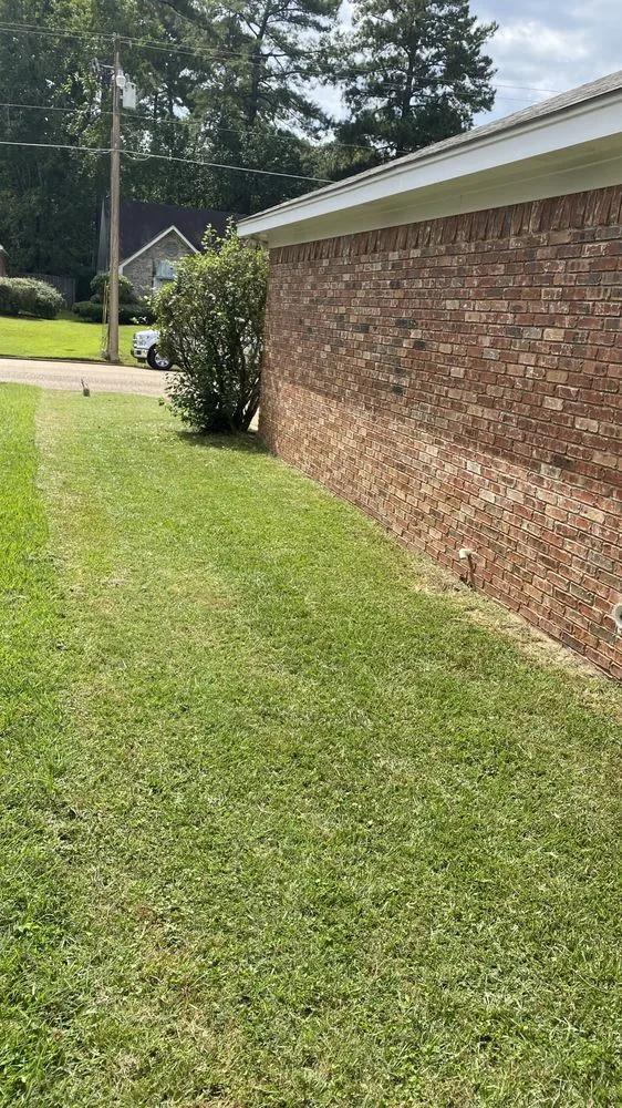 Top-rated yard cleanup service in Brandon, MS - Getcha Right Lawn Care