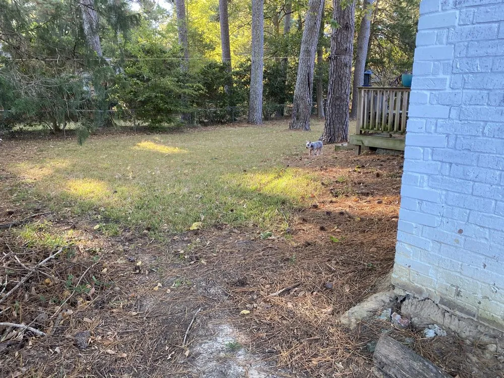 Expert outdoor landscaping in Brandon, MS by Getcha Right Lawn Care