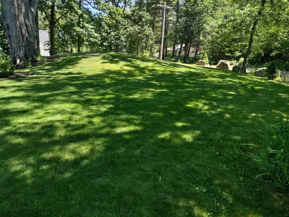 Professional lawn care service in Salem, NH by Getchell Property Services