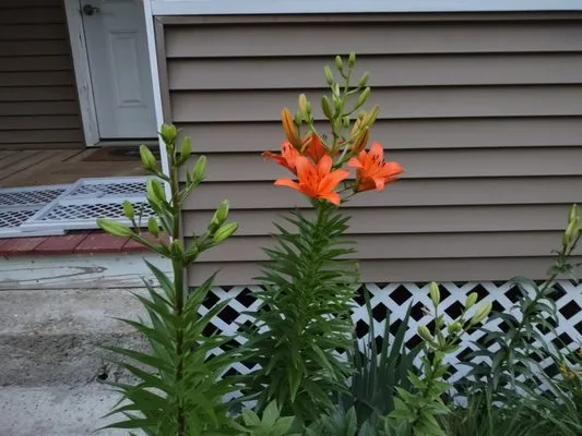 Getchell Property Services Logo