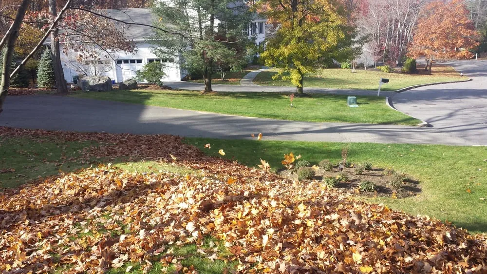 Affordable yard cleanup service in Lynn, MA by Getella Landscaping
