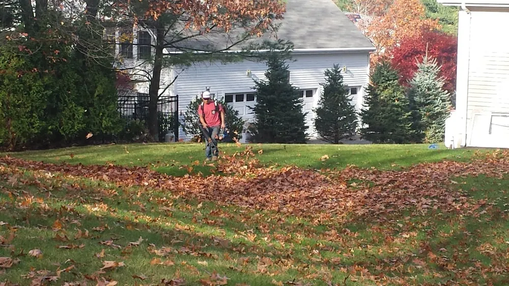 Trusted landscape installation experts serving Lynn, MA - Getella Landscaping