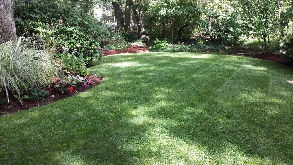 Top-rated lawn care service in Lynn, MA - Getella Landscaping