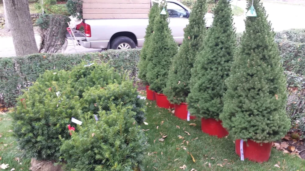 Expert lawn mowing service for outdoor upgrades in Lynn, MA by Getella Landscaping