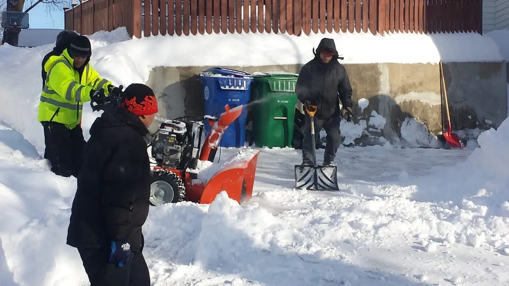 Professional yard cleanup service in Lynn, MA - Getella Landscaping