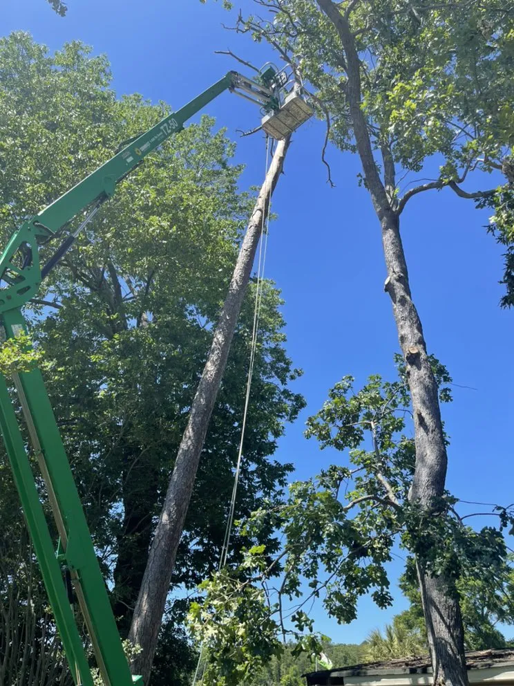 Local landscaping services near you in Irmo, SC by Get’em down tree service