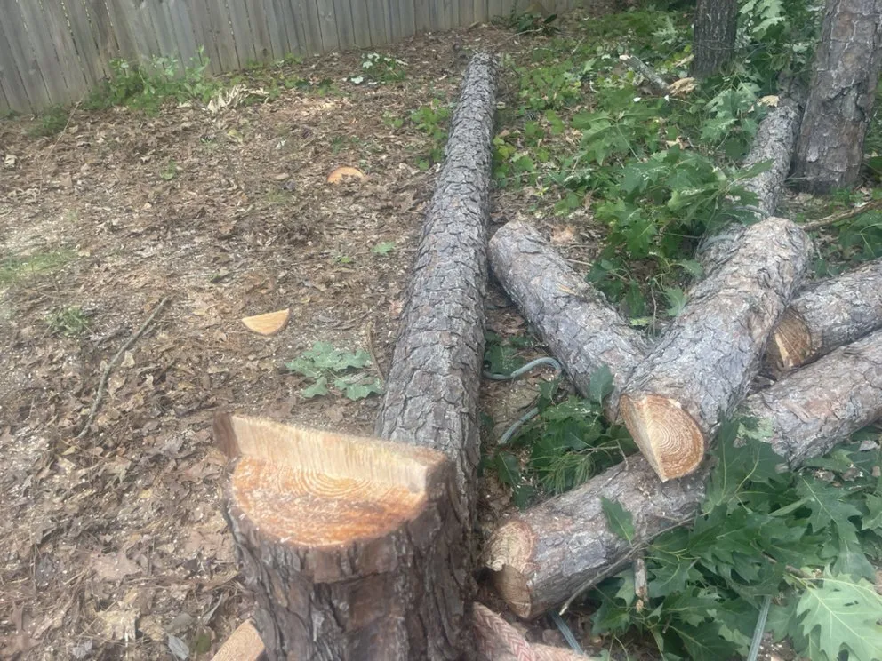 Trusted yard maintenance in Irmo, SC - Get’em down tree service