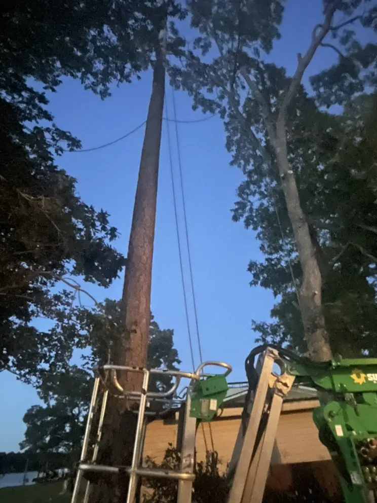 Expert lawn mowing service for outdoor upgrades in Irmo, SC by Get’em down tree service