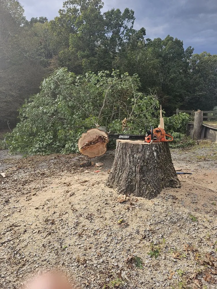 Custom garden landscaping in Irmo, SC by Get’em down tree service