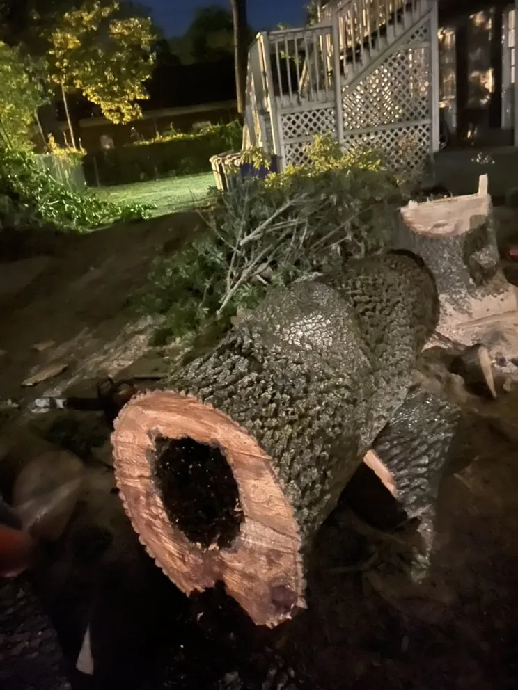 Custom landscape design in Irmo, SC - Get’em down tree service