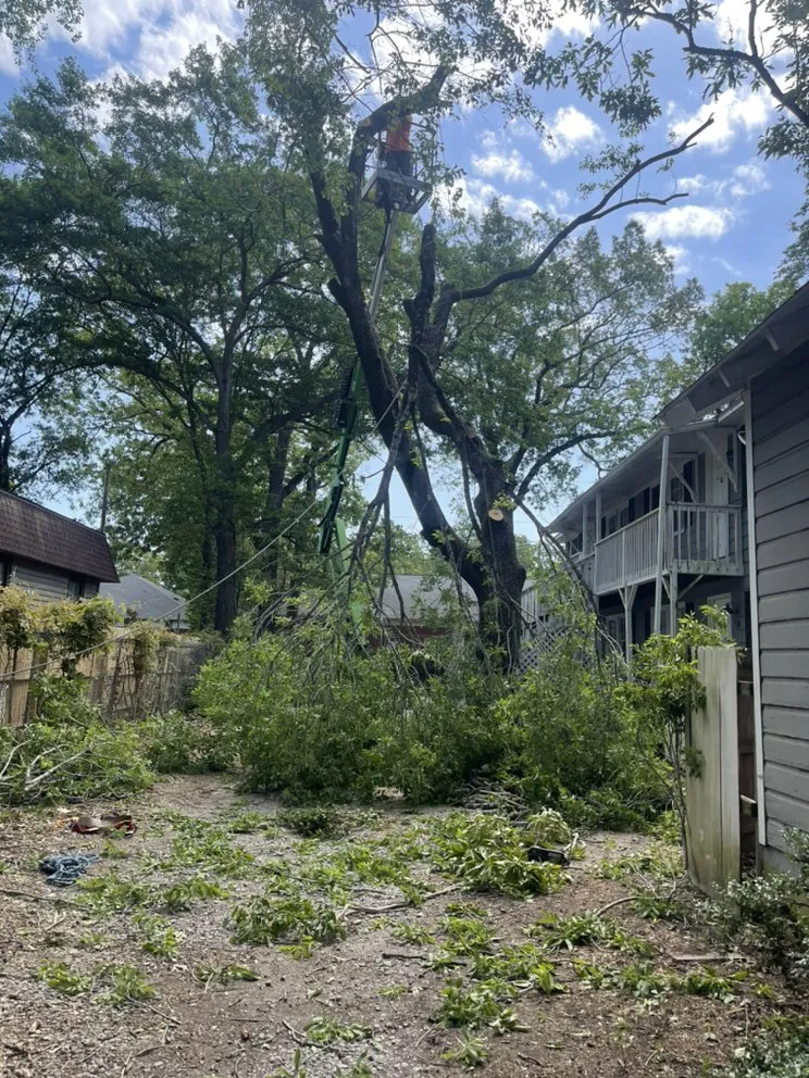 Professional landscape design experts serving Irmo, SC - Get’em down tree service