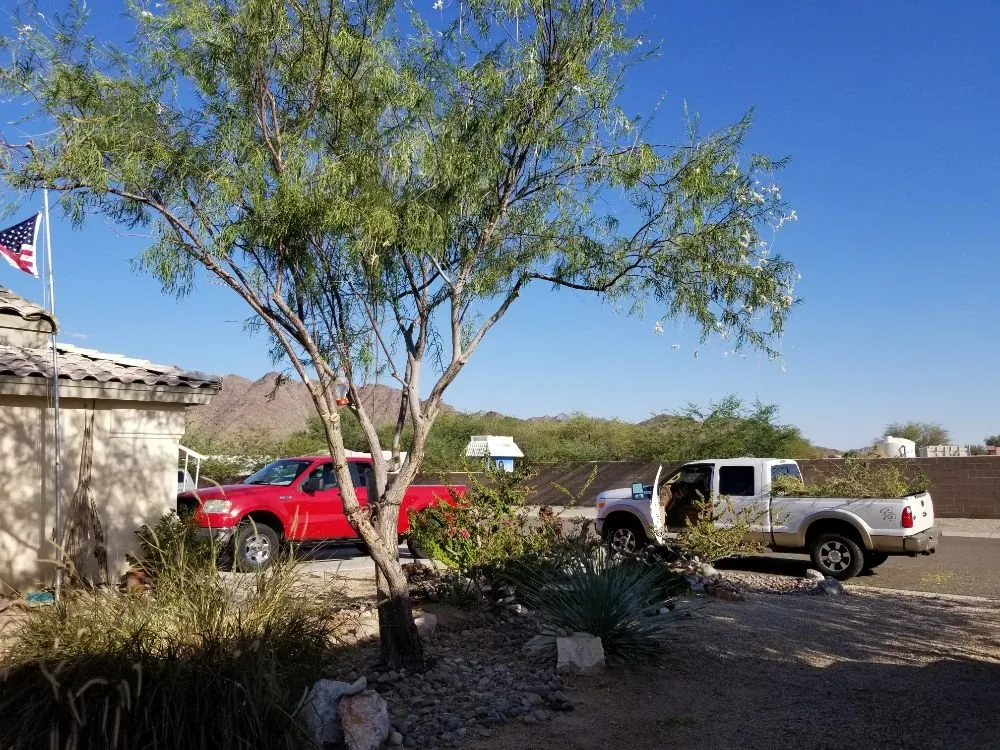 Top-rated yard cleanup service for residential properties across Yuma, AZ - Getitdoneright Services