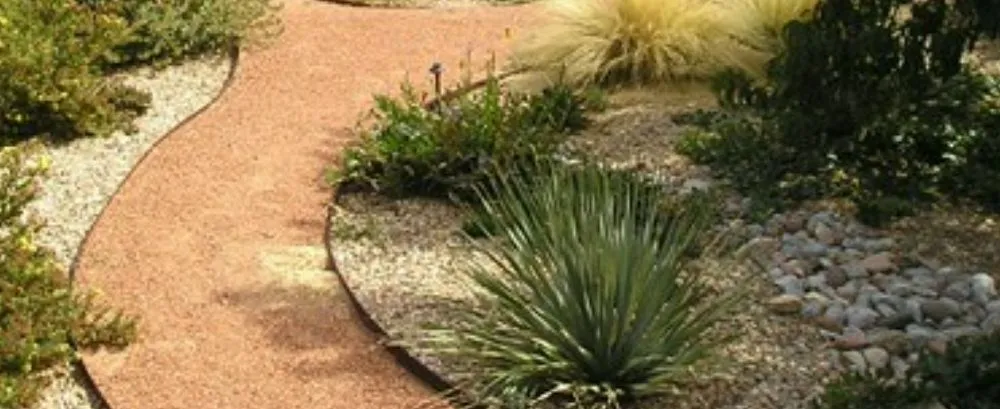 Professional yard cleanup service experts serving Yuma, AZ - Getitdoneright Services