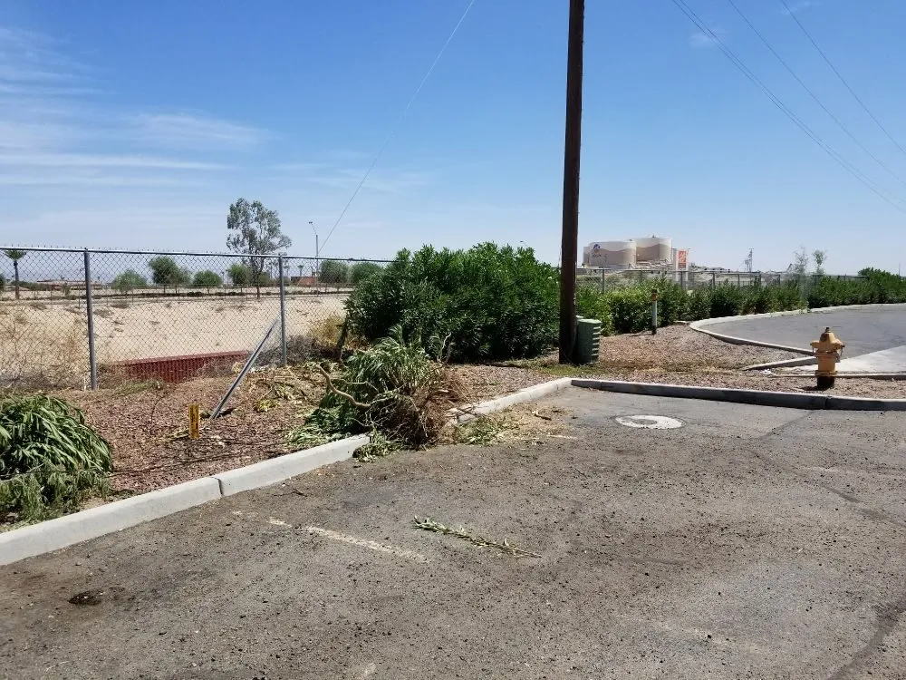 Professional outdoor landscaping in Yuma, AZ by Getitdoneright Services