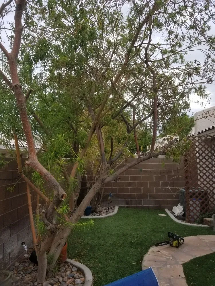 Expert garden landscaping in Yuma, AZ by Getitdoneright Services