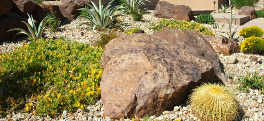 Professional garden landscaping in Yuma, AZ by Getitdoneright Services