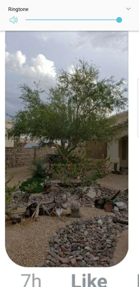 Trusted landscape design experts serving Yuma, AZ - Getitdoneright Services