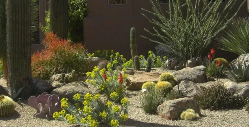 Reliable residential landscaping with custom design in Yuma, AZ by Getitdoneright Services