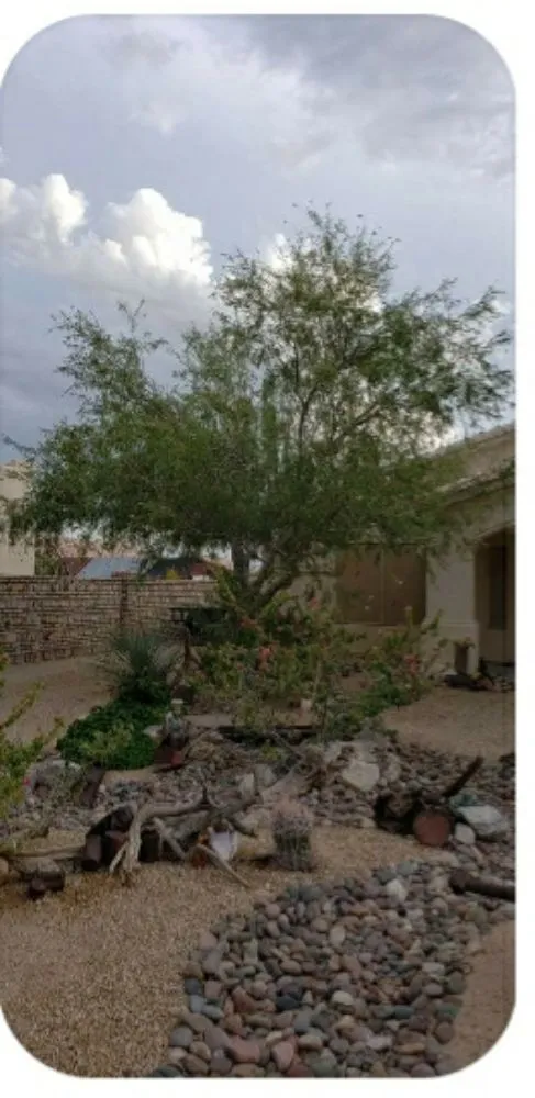 Reliable landscaping services experts serving Yuma, AZ - Getitdoneright Services