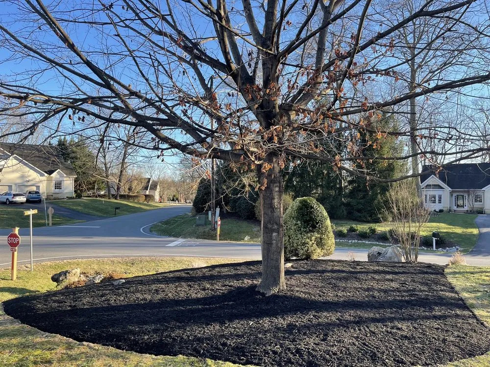 Top-rated lawn mowing service in Shenandoah Junction, WV - Getridge Landscaping