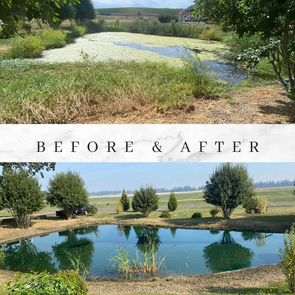 Custom yard maintenance for outdoor upgrades across Dayton, OR - Getter Done Cleaning & Landscaping