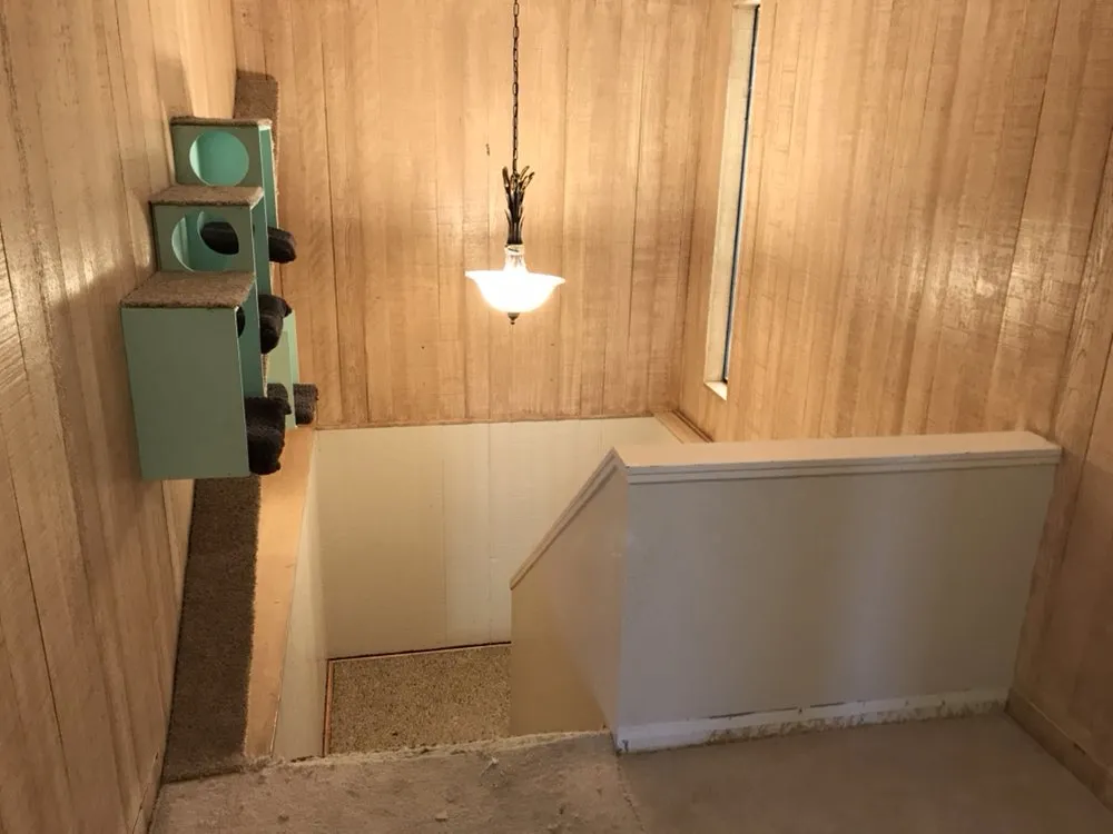 Trusted yard maintenance in Saint George, UT - Getter Done