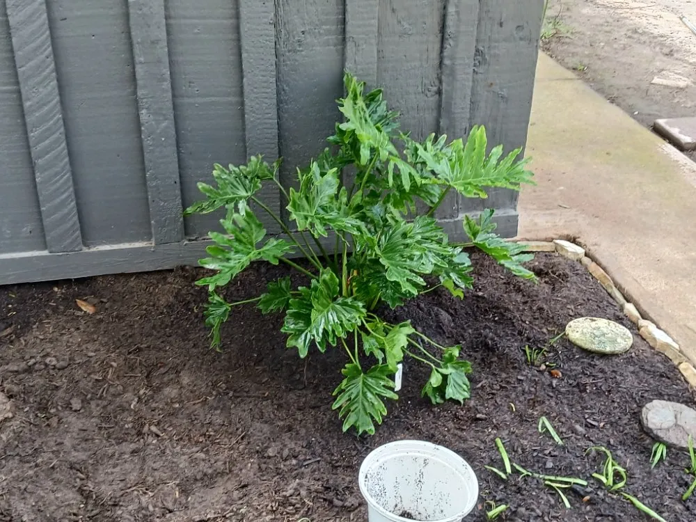 Reliable outdoor landscaping for outdoor upgrades across La Marque, TX - GETTER DUNNE LAWN SERVICE