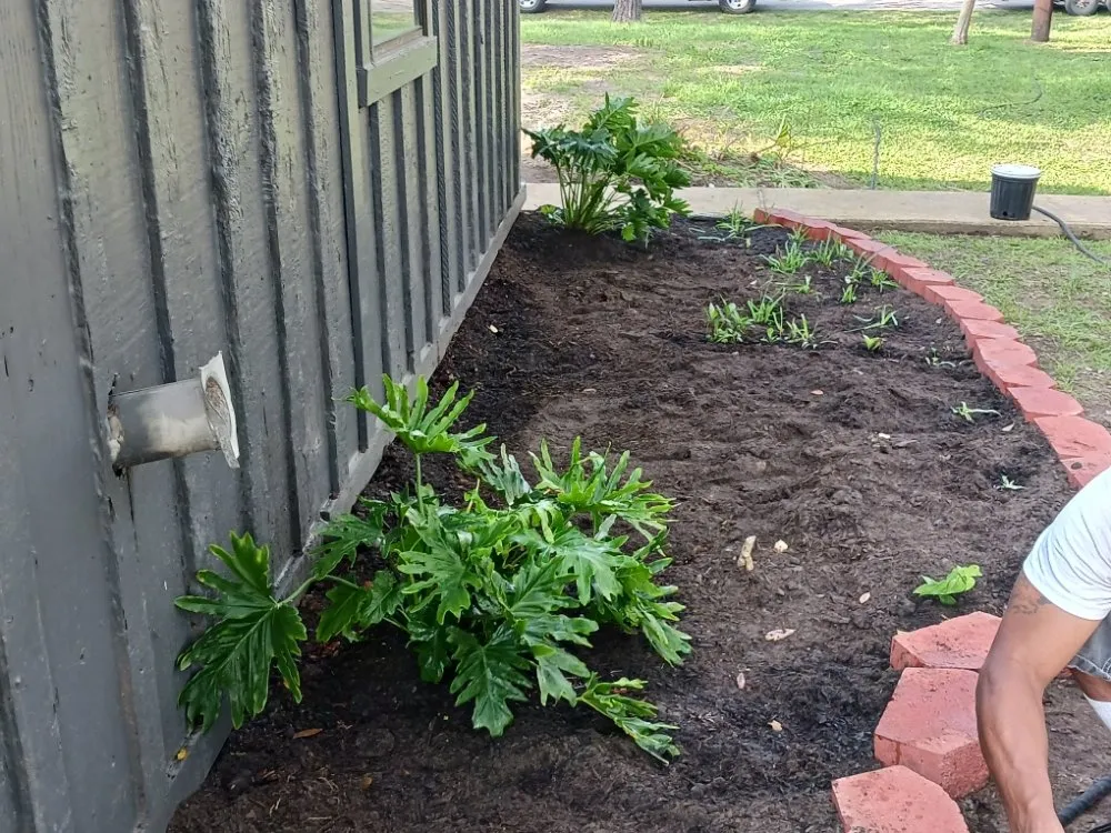 Professional residential landscaping in La Marque, TX - GETTER DUNNE LAWN SERVICE