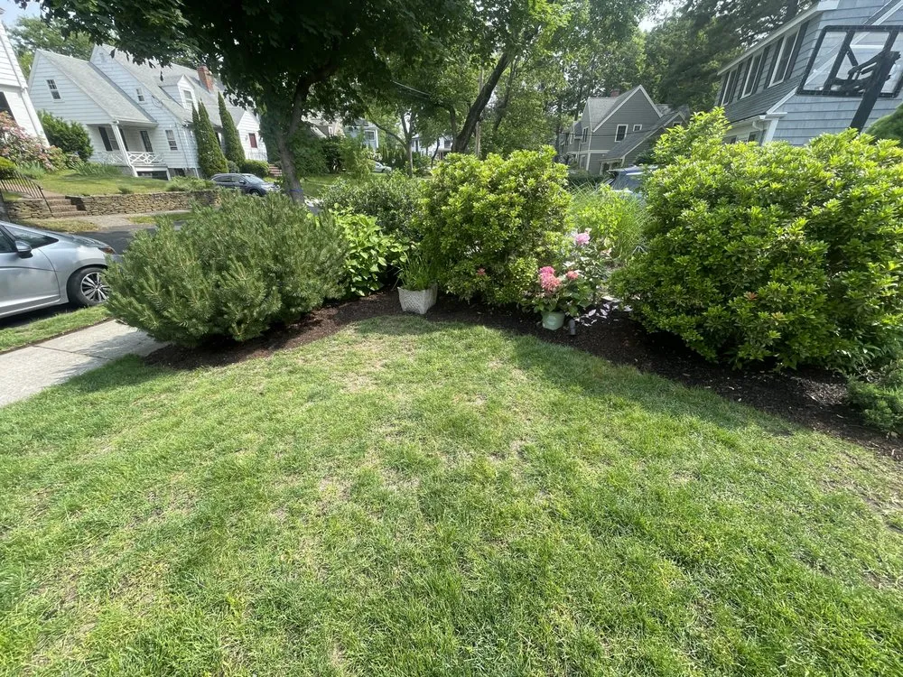 Professional residential landscaping in Newton, MA by Gettin Better Landscaping