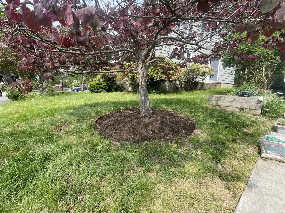 Local landscape installation experts serving Newton, MA - Gettin Better Landscaping