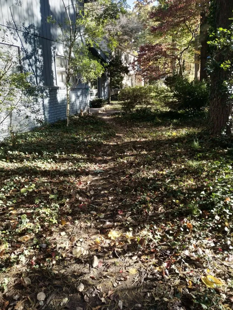 Affordable landscaping services experts serving Blackwood, NJ - Gettin' Junk Done