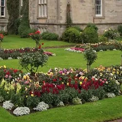 Expert landscaping services for year-round maintenance in Placerville, CA by Getting It Done