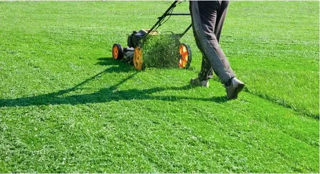Local yard maintenance in Lubbock, TX by Getty Contracting
