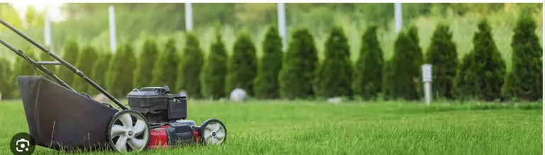 Local residential landscaping for homes across Lubbock, TX - Getty Contracting