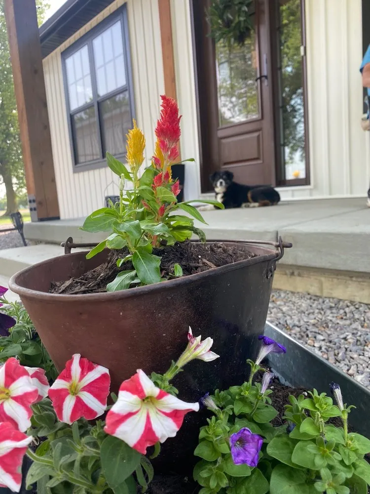 Local residential landscaping for year-round maintenance in Colfax, IL by Getty Landscaping
