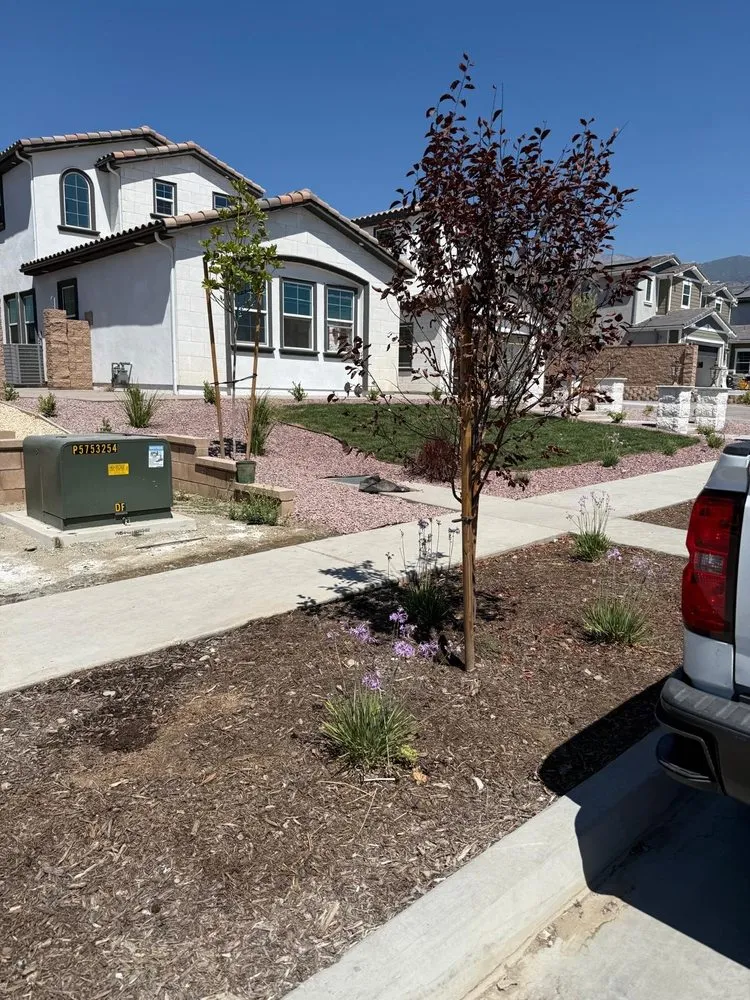 Top-rated lawn care service experts serving Los Angeles, CA - GF Landscape Gardening