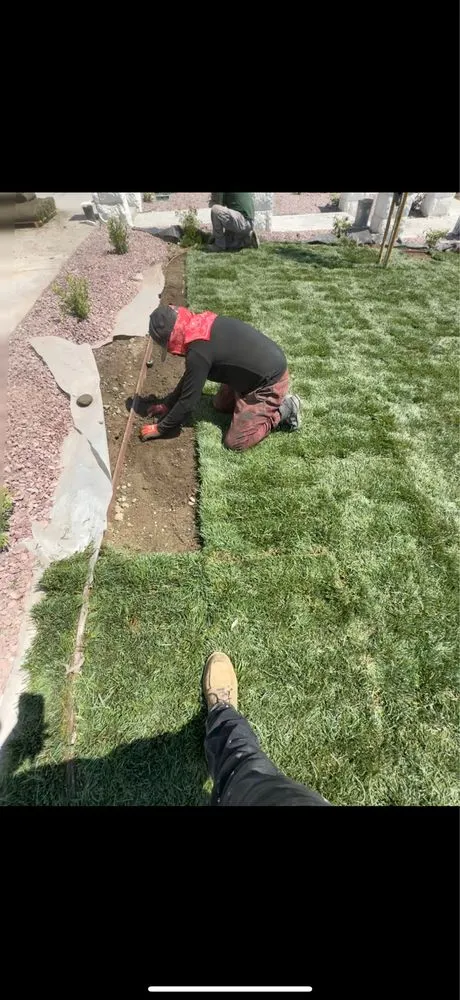 Top-rated landscaping services experts serving Los Angeles, CA - GF Landscape Gardening