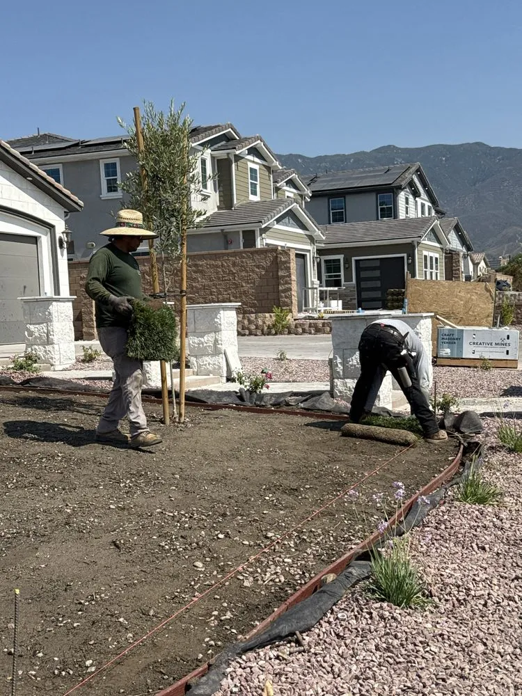 Reliable yard cleanup service for beautiful yards across Los Angeles, CA - GF Landscape Gardening