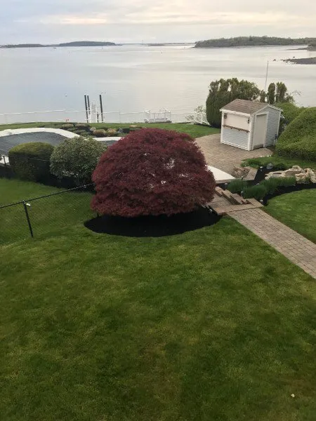 Expert lawn care service near you in Stoughton, MA by GF Landscaping & Construction