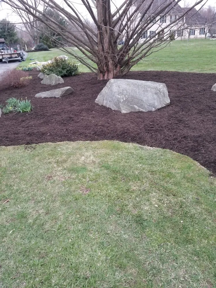 Expert yard cleanup service in Coatesville, PA by GF Landscaping Services