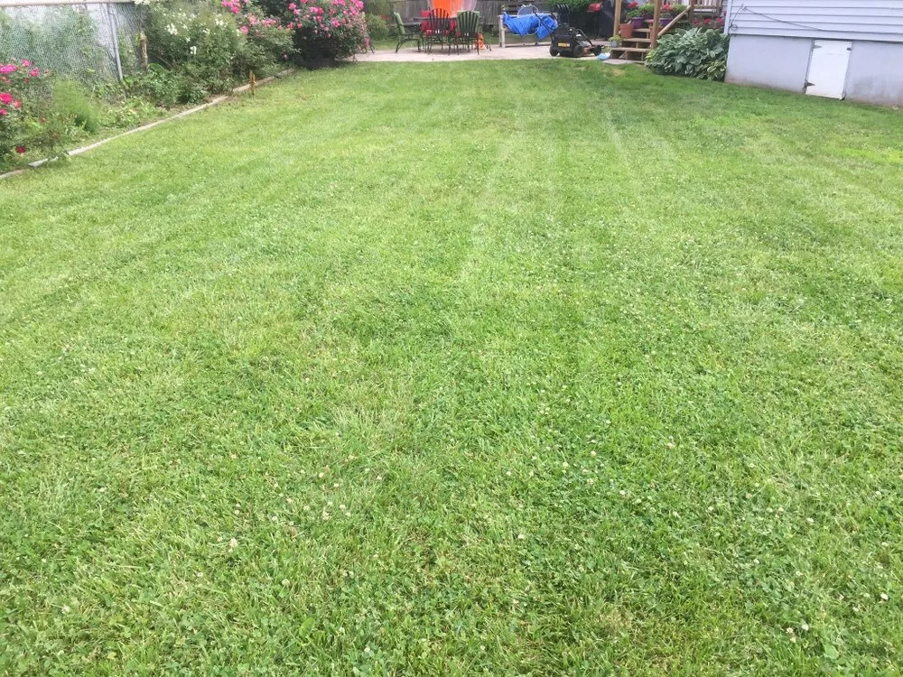 Reliable landscaping services for year-round maintenance in Linden, NJ by GF Lawncare