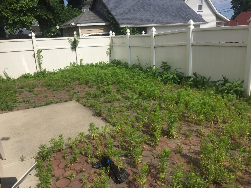 Reliable landscaping services in Linden, NJ by GF Lawncare