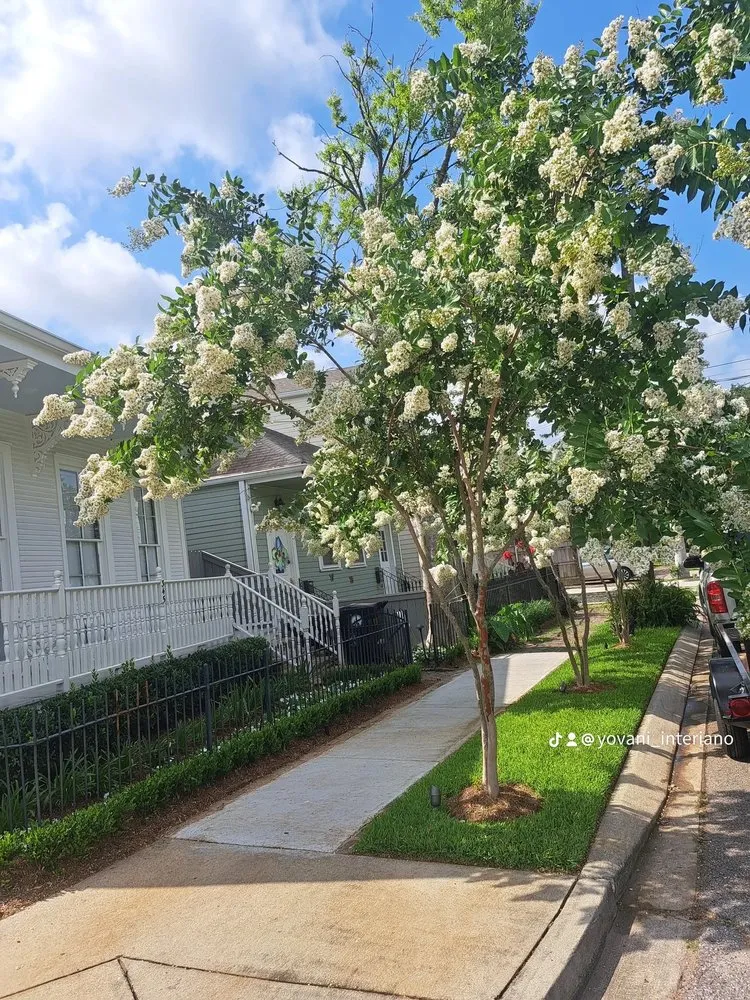 Trusted landscape installation for residential properties across Metairie, LA - GFaith Lawn And Landscape
