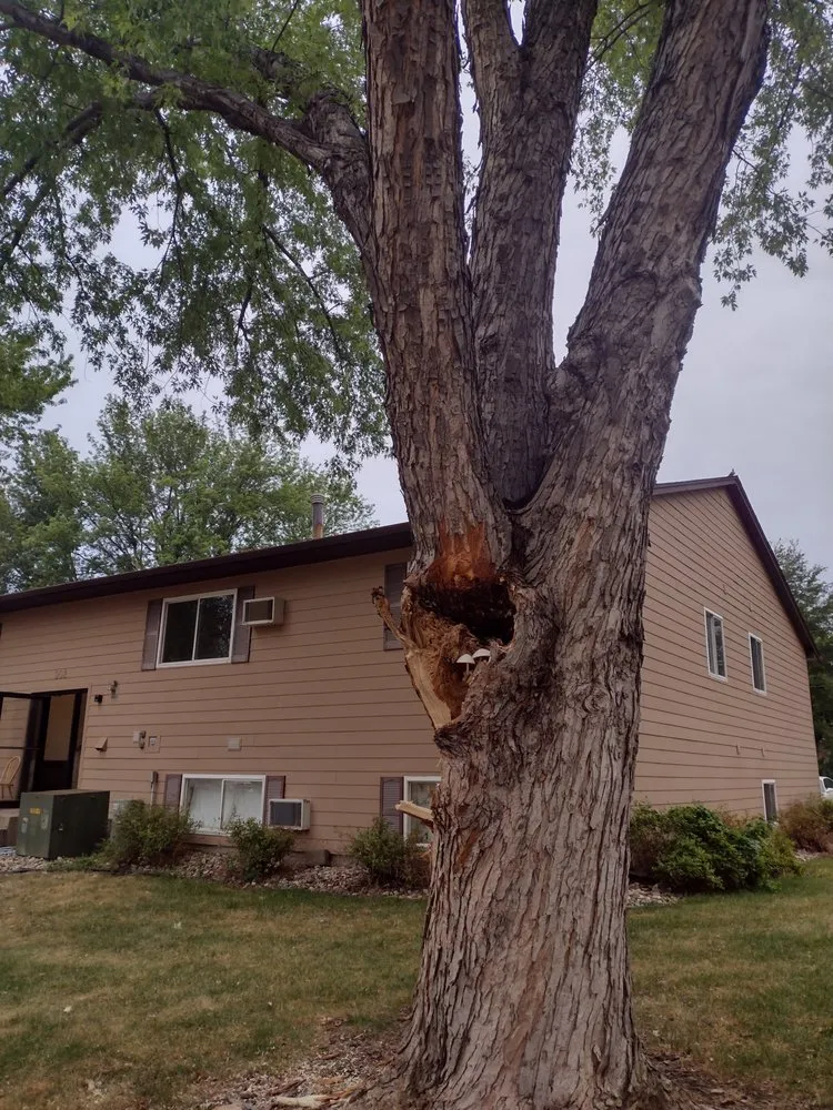 Trusted yard cleanup service with custom design across Yankton, SD - GFC Lawn Care